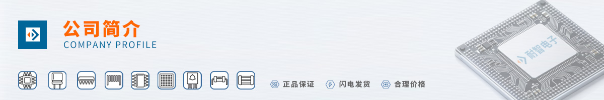 Skyworks(˼��Ѷ)��˾����