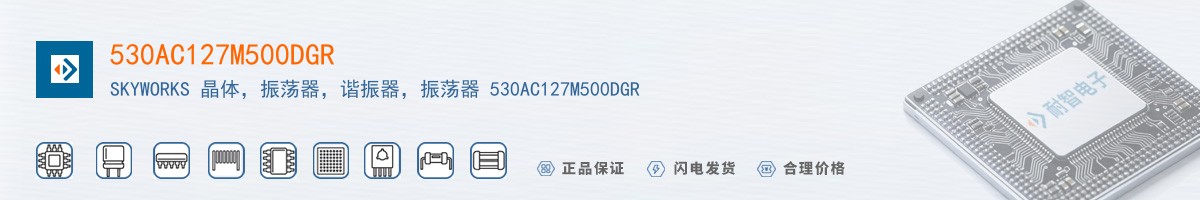 530AC127M500DGR������