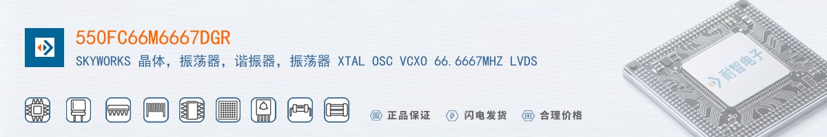 550FC66M6667DGR������