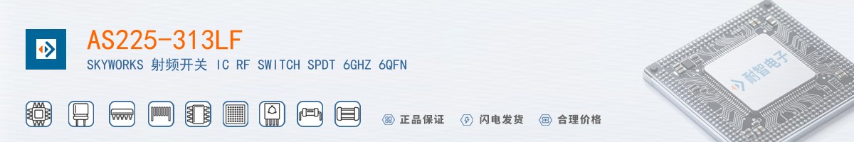 AS225-313LF������