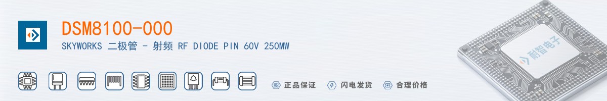 DSM8100-000������