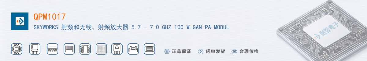 QPM1017������
