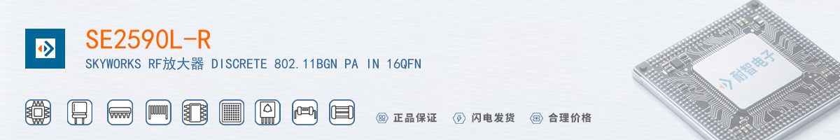 SE2590L-R������