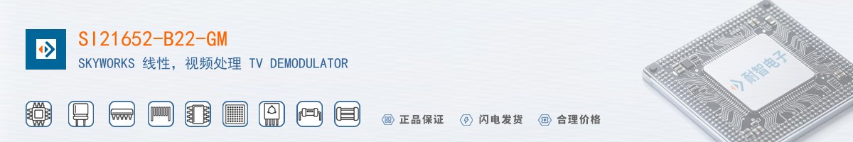 SI21652-B22-GM������