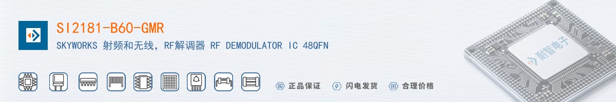 SI2181-B60-GMR������
