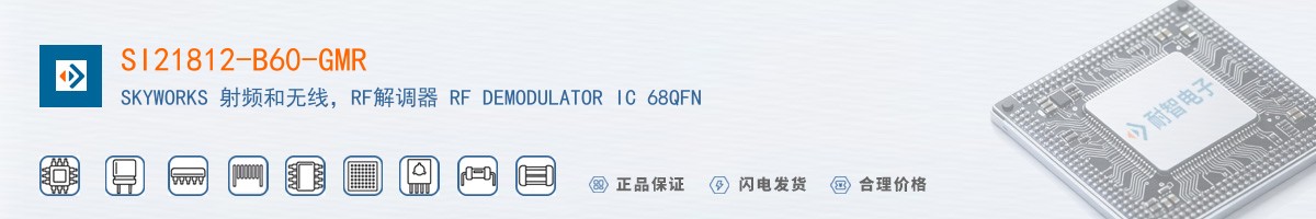 SI21812-B60-GMR������