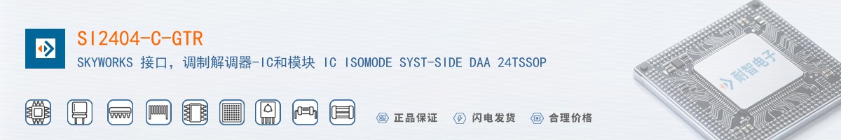 SI2404-C-GTR������