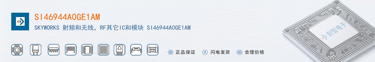 SI46944A0GE1AM������