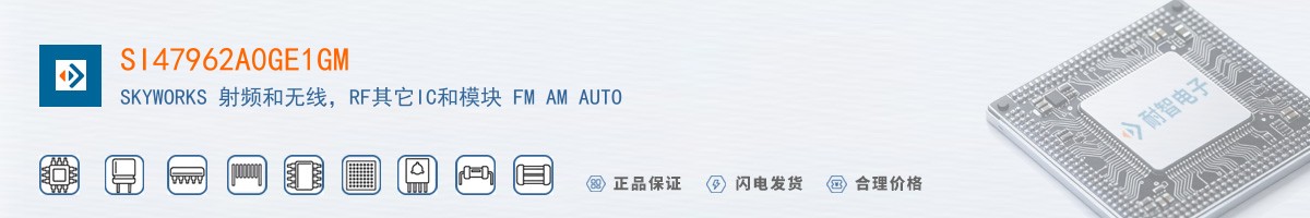 SI47962A0GE1GM������