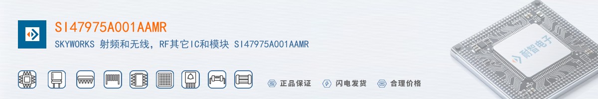 SI47975A001AAMR������