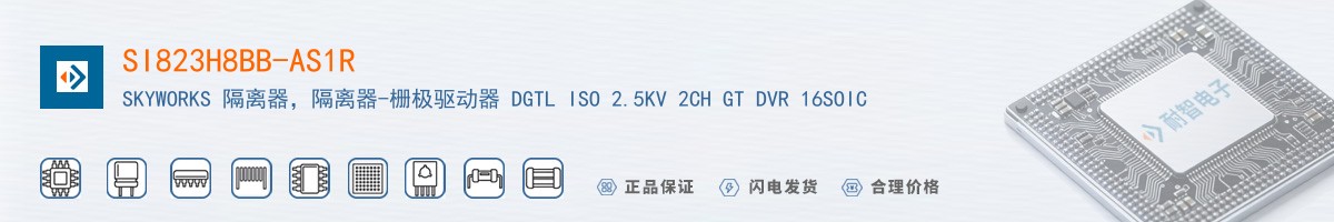 SI823H8BB-AS1R������