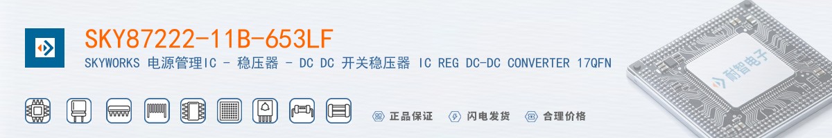 SKY87222-11B-653LF������