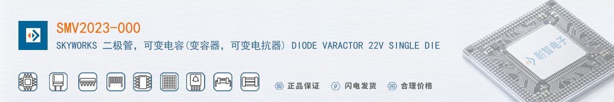SMV2023-000������