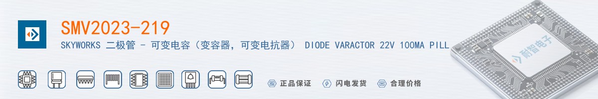 SMV2023-219������