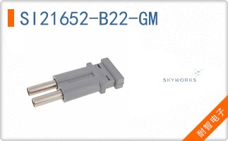 SI21652-B22-GM