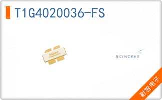 T1G4020036-FS