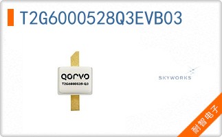 T2G6000528Q3EVB03