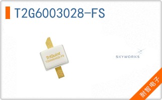T2G6003028-FS