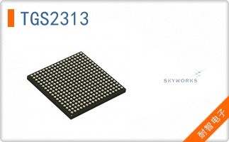 TGS2313